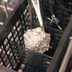 This Is Why You Should Put Aluminum Foil in Your Dishwasher