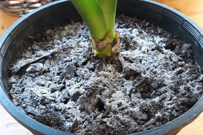 Gray Soil Courtesy Reddit.com