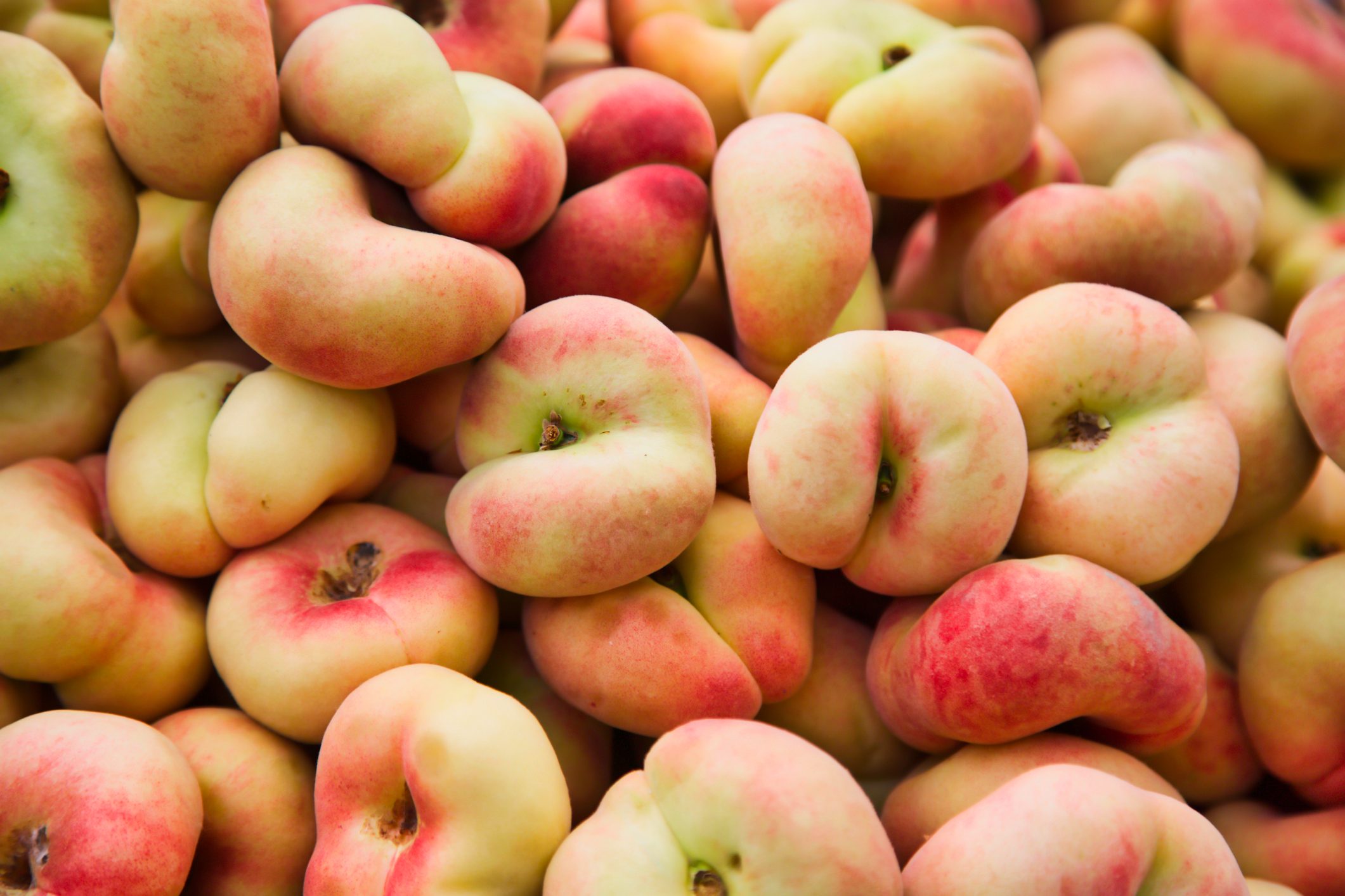 Full frame saturn or doughnut peaches at the farmer's market
