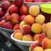The Most Popular Types of Peaches for Eating and Baking