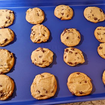 Great Jones Non Stick Baking Pan