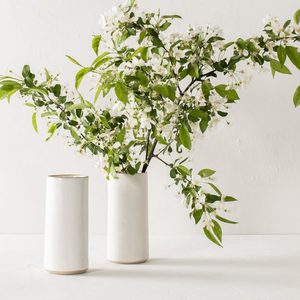 Convivial Minimal Cylinder Vase