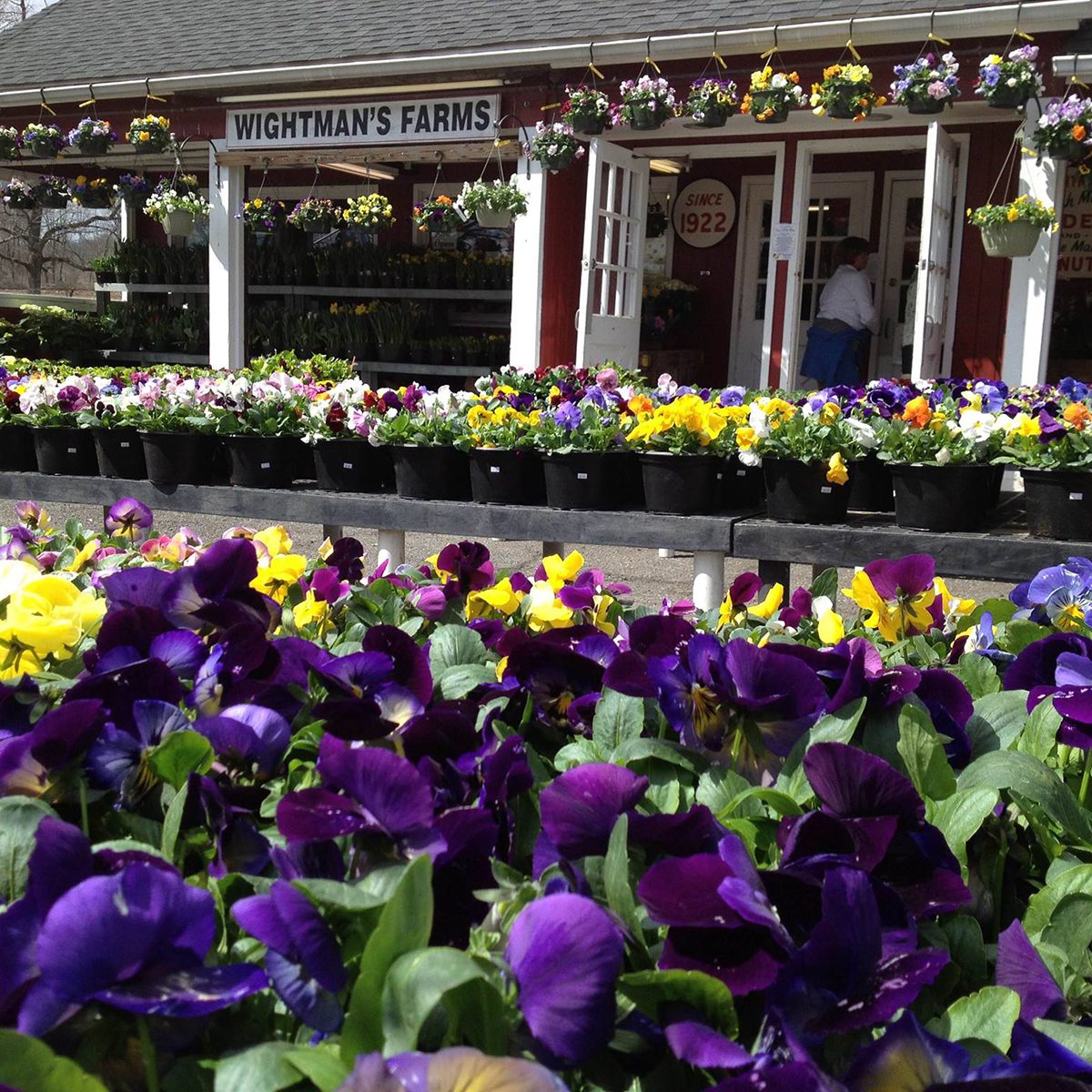 Wightmans Farms Tour New Jersey