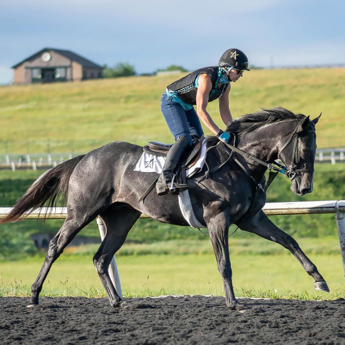 Winstar Farms Tours Kentucky