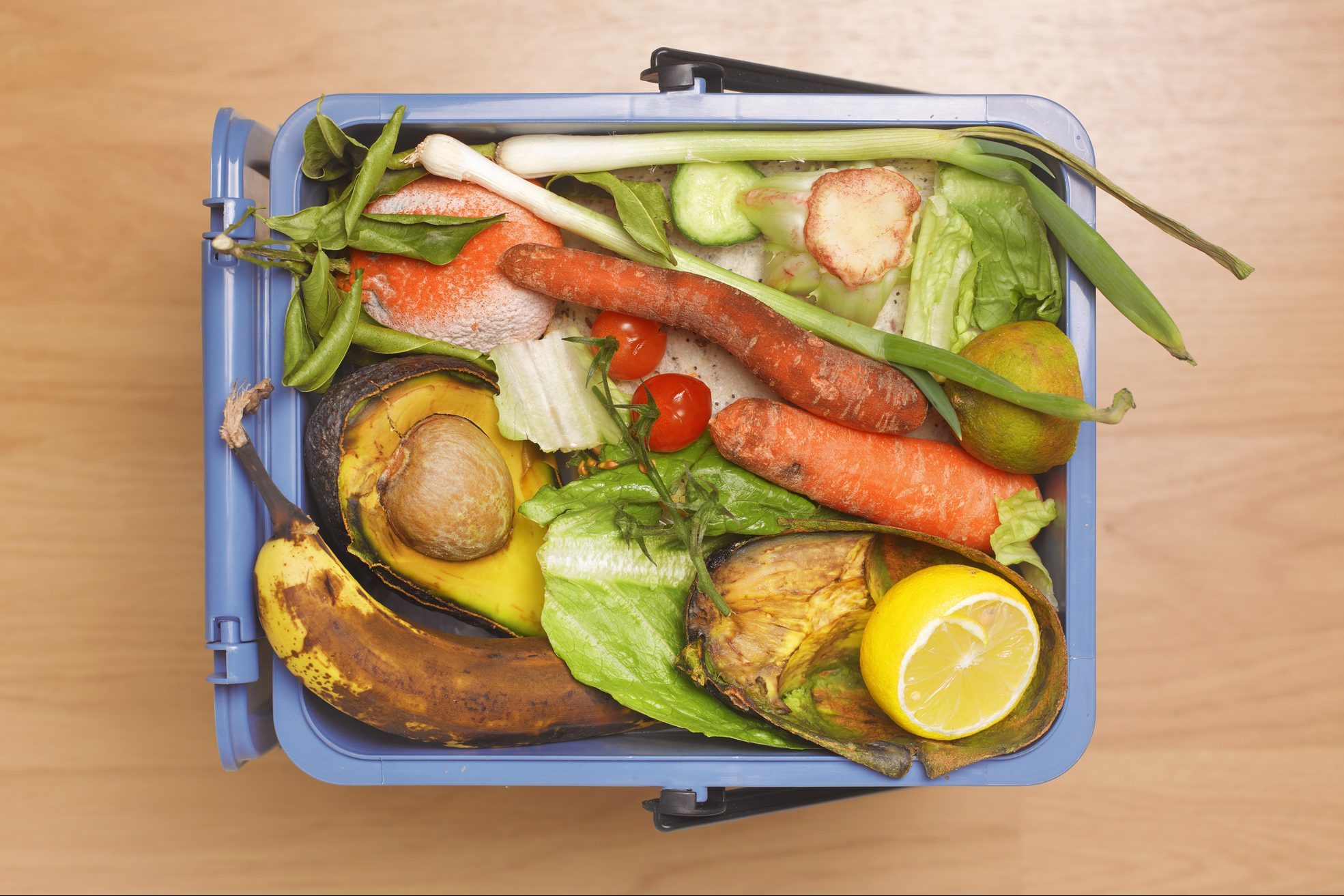 Rotten food in food bin