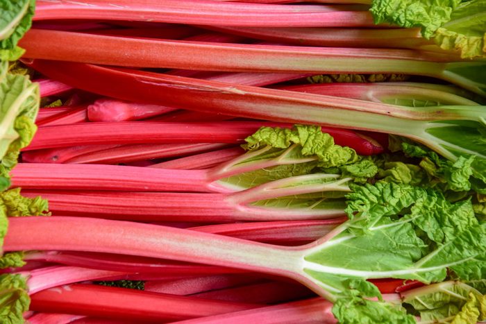 close up of stalks of rhubarb