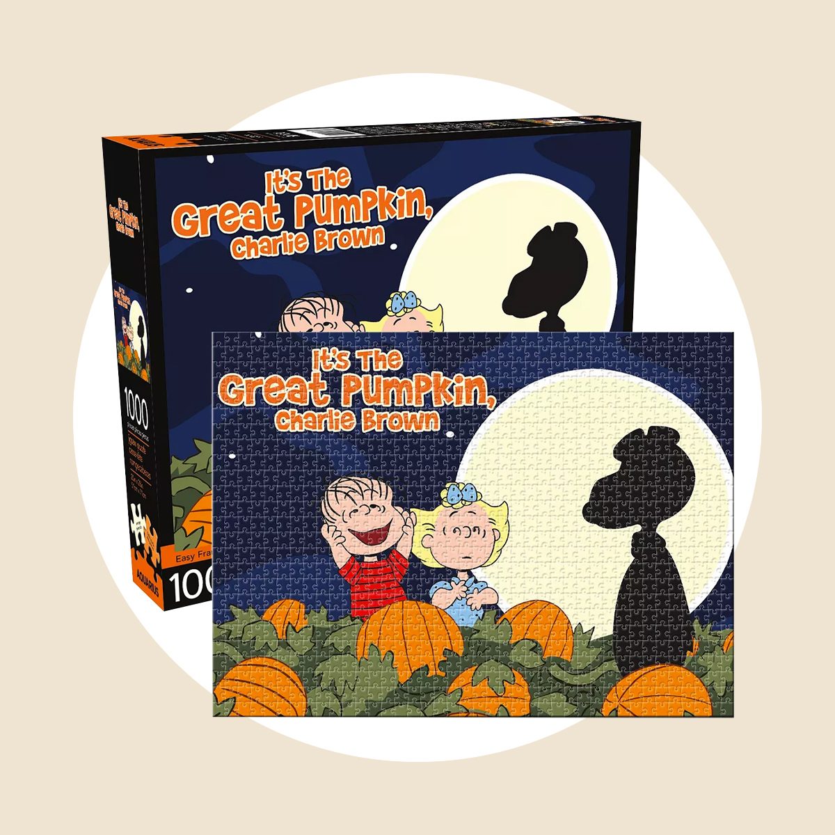 Aquarius Peanuts It's The Great Pumpkin Puzzle
