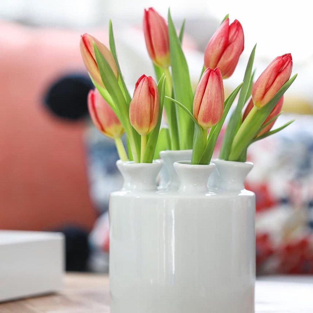 Dutch Tulipiere Via Inspiredbycharm