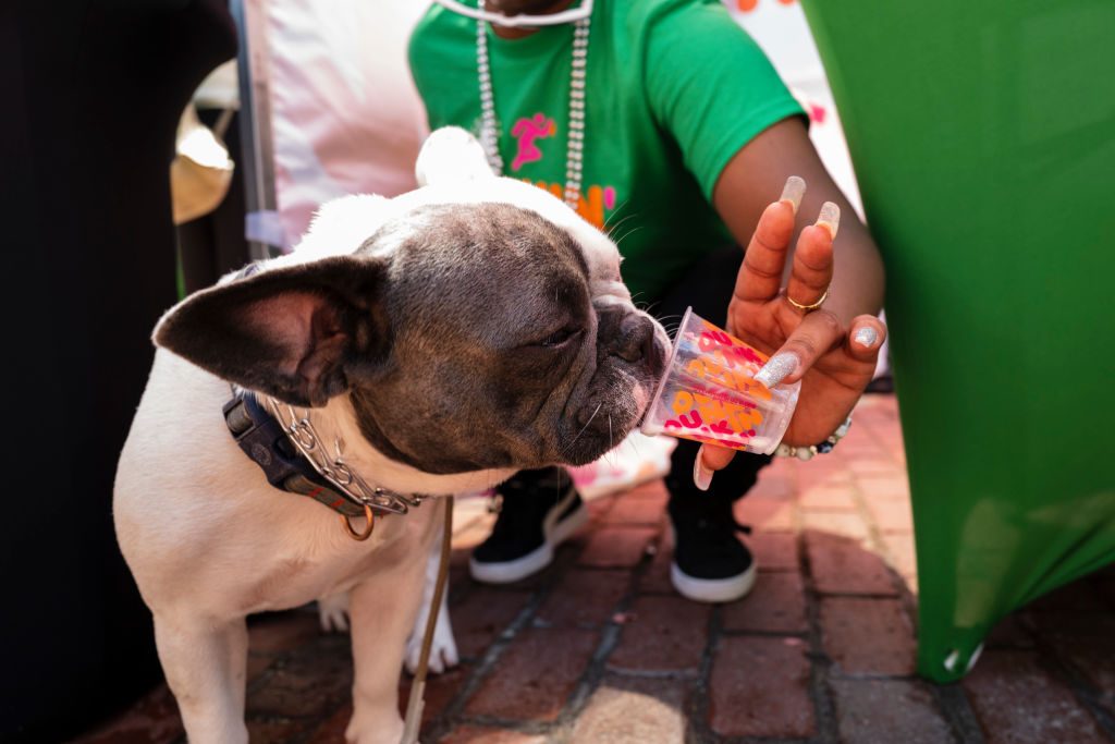 Boston Celtics Pep Rally Hosted By Dunkin