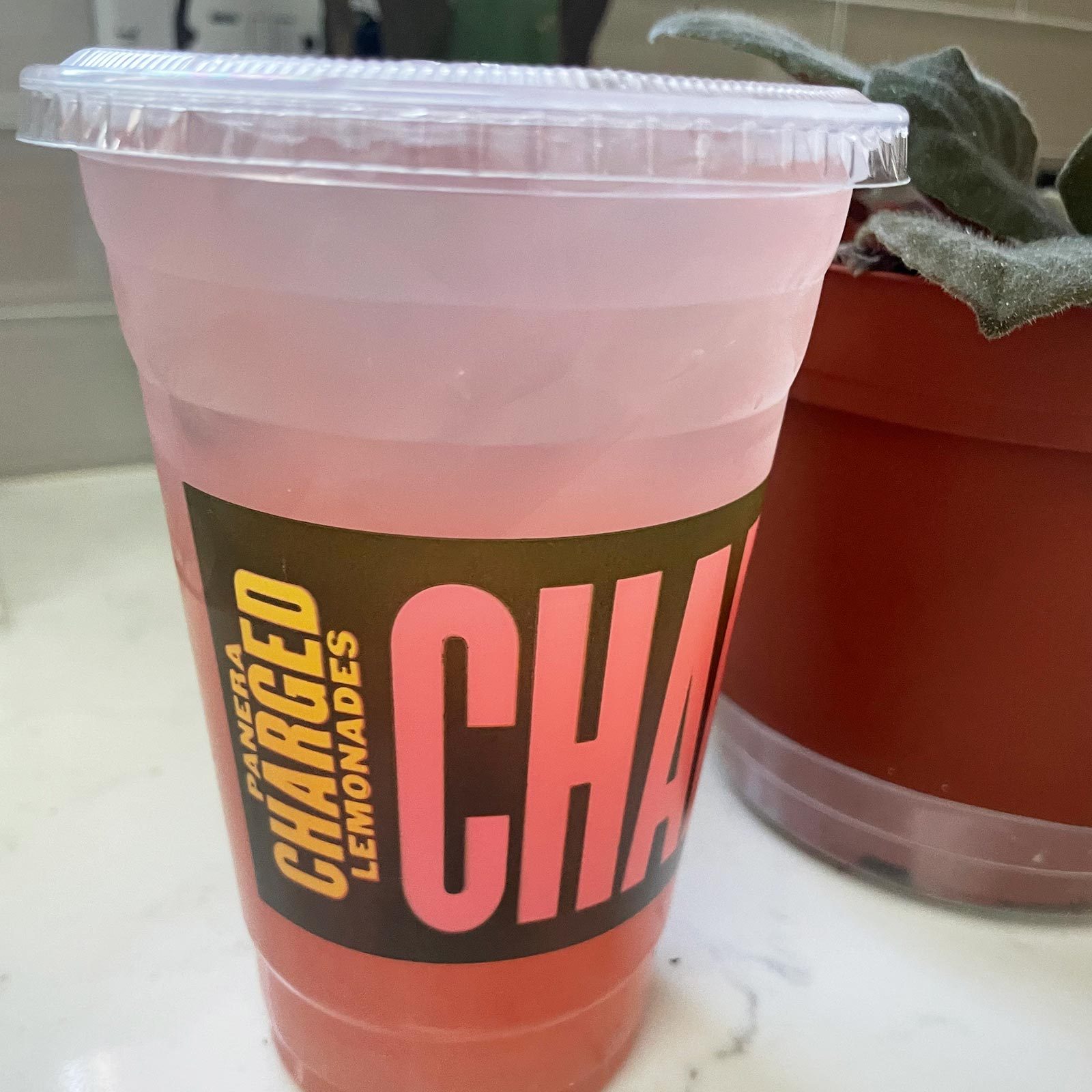 Panera Charged Lemonade Courtesy Jessica Kaplan