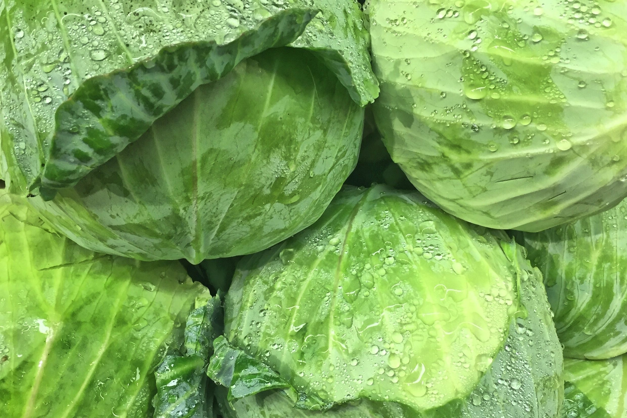 Full Frame Shot Of Fresh Wet Green Cabbage