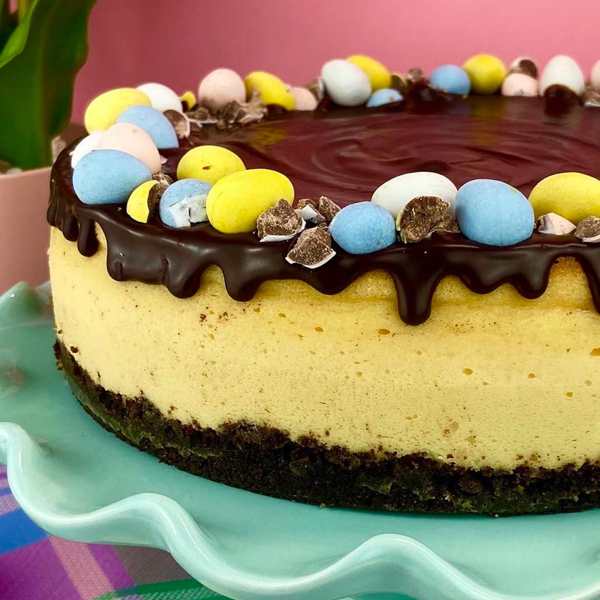 Cadbury Queen Cheesecake