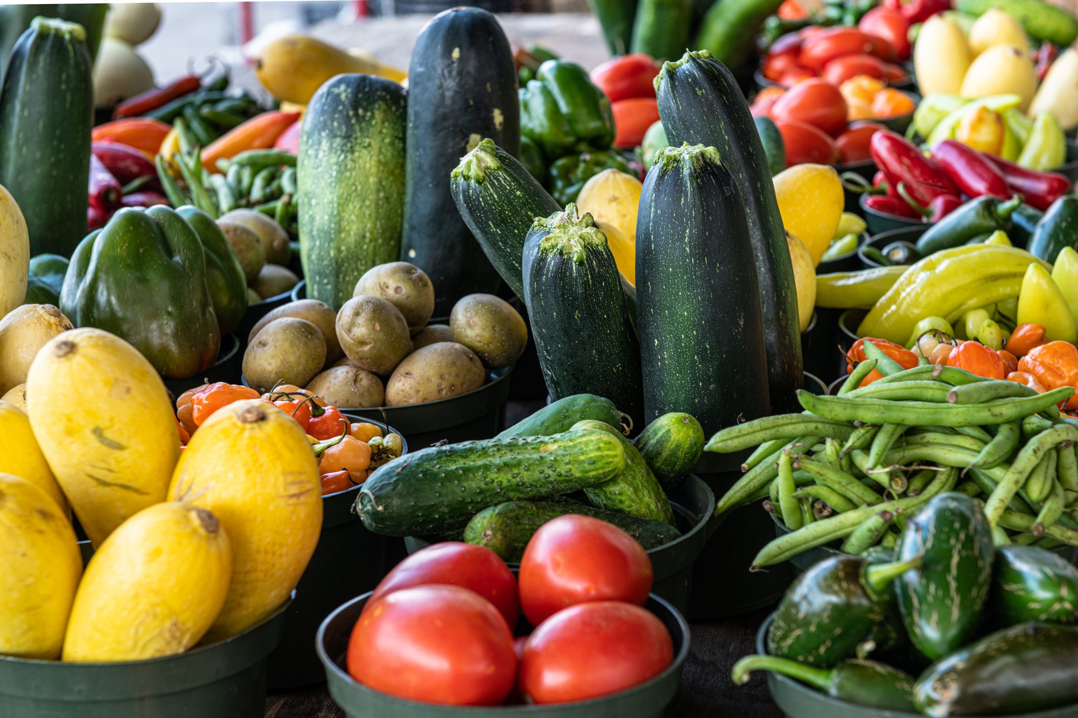 Tomatoes, Cucumber, Beans, Squash, Potatoes, Peppers, Hot Chili Peppers, and Zucchini grouped together.