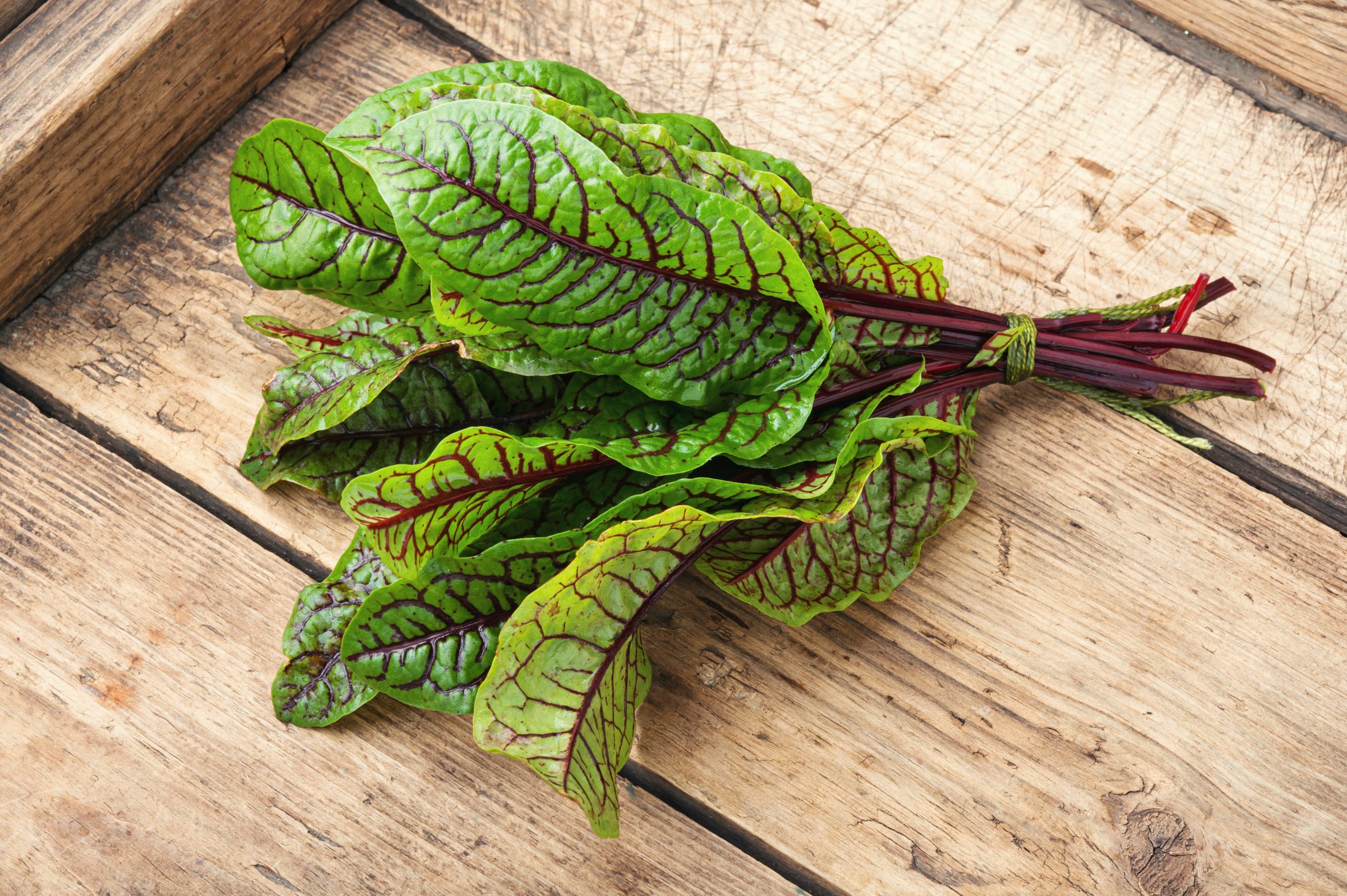 Raw sorrel leaves