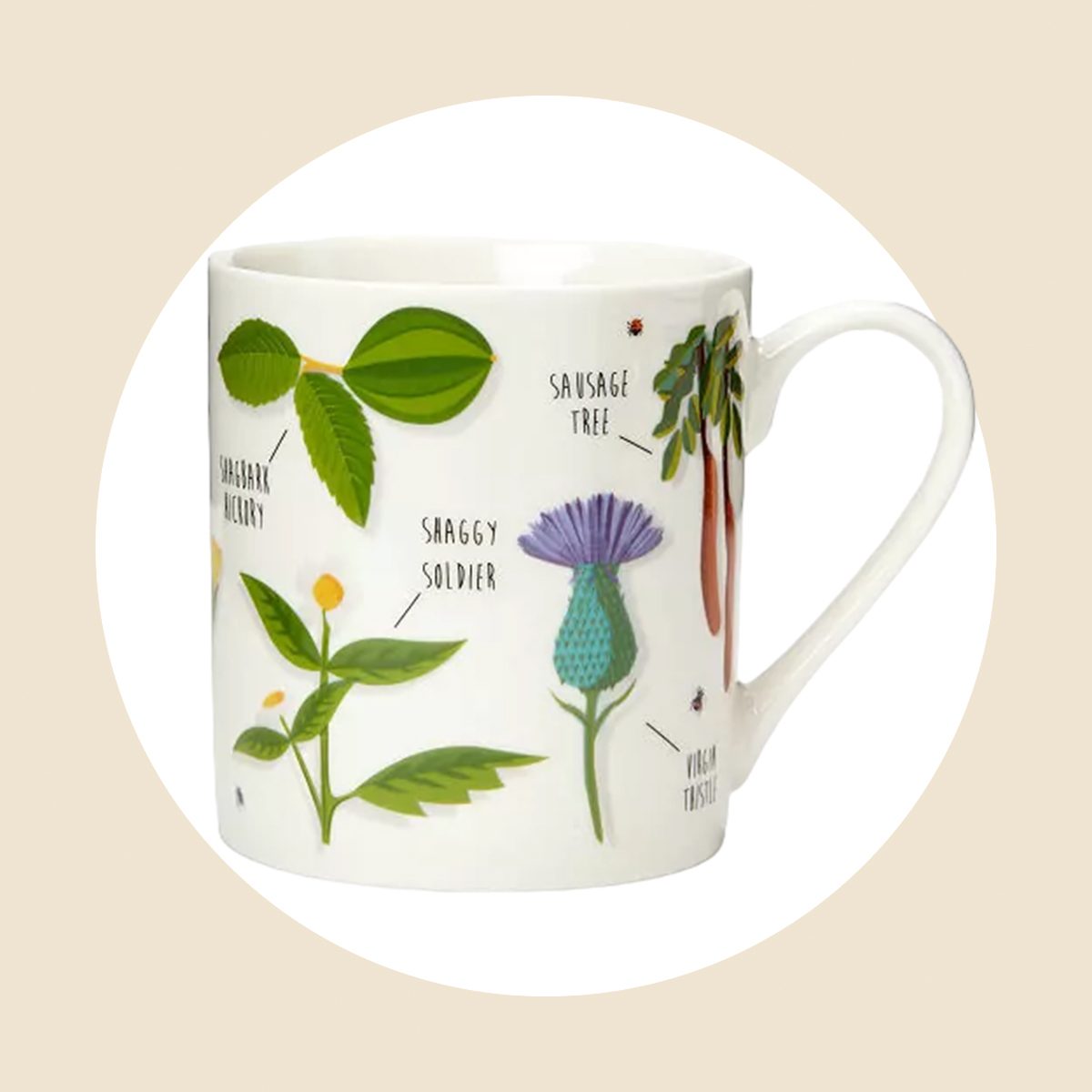 Ridiculously Rude Plants Mug