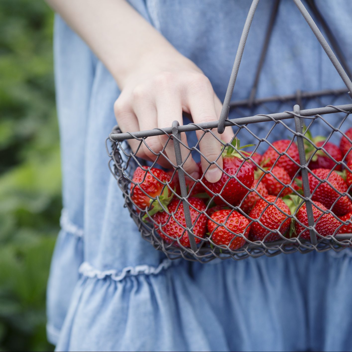 Girl holding basket of freshly picked strawberries