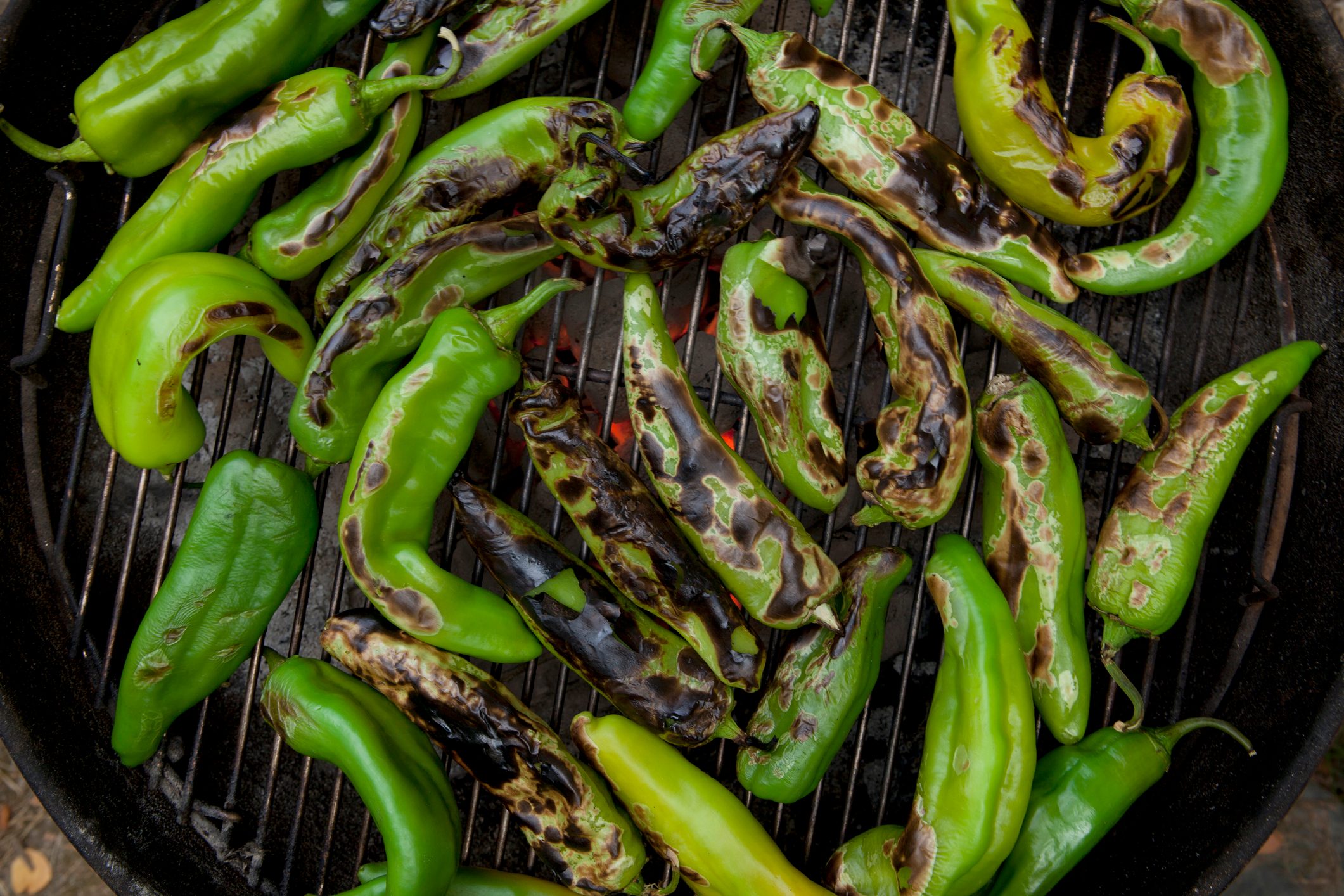 What Are Hatch Chiles and How Do You Roast Them?