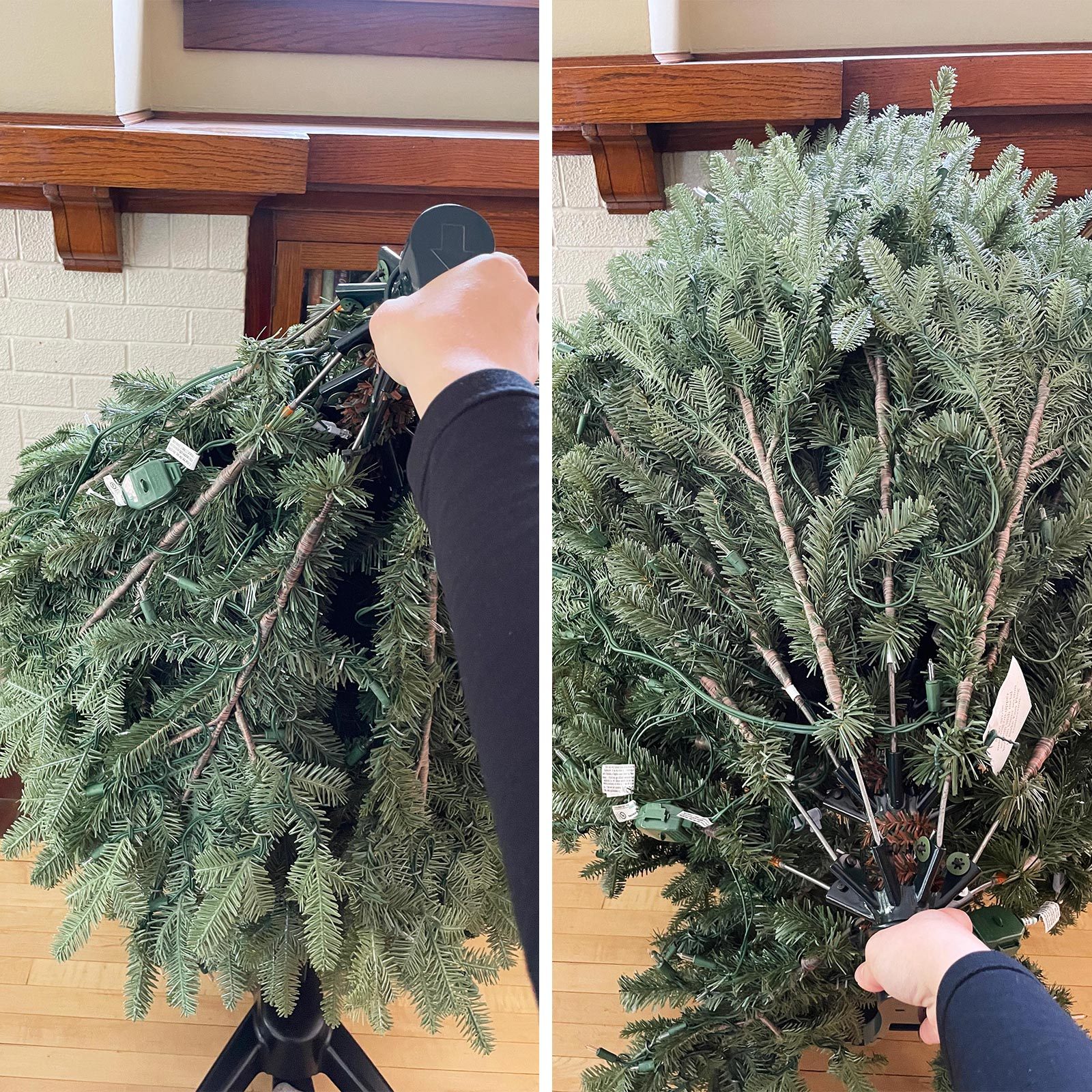 Balsam Fir Flip Tree