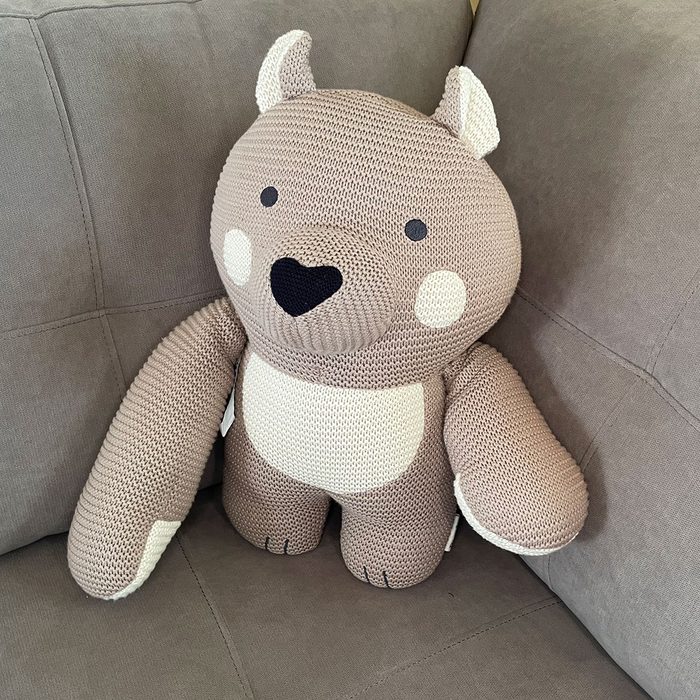 Bearaby Benji on couch