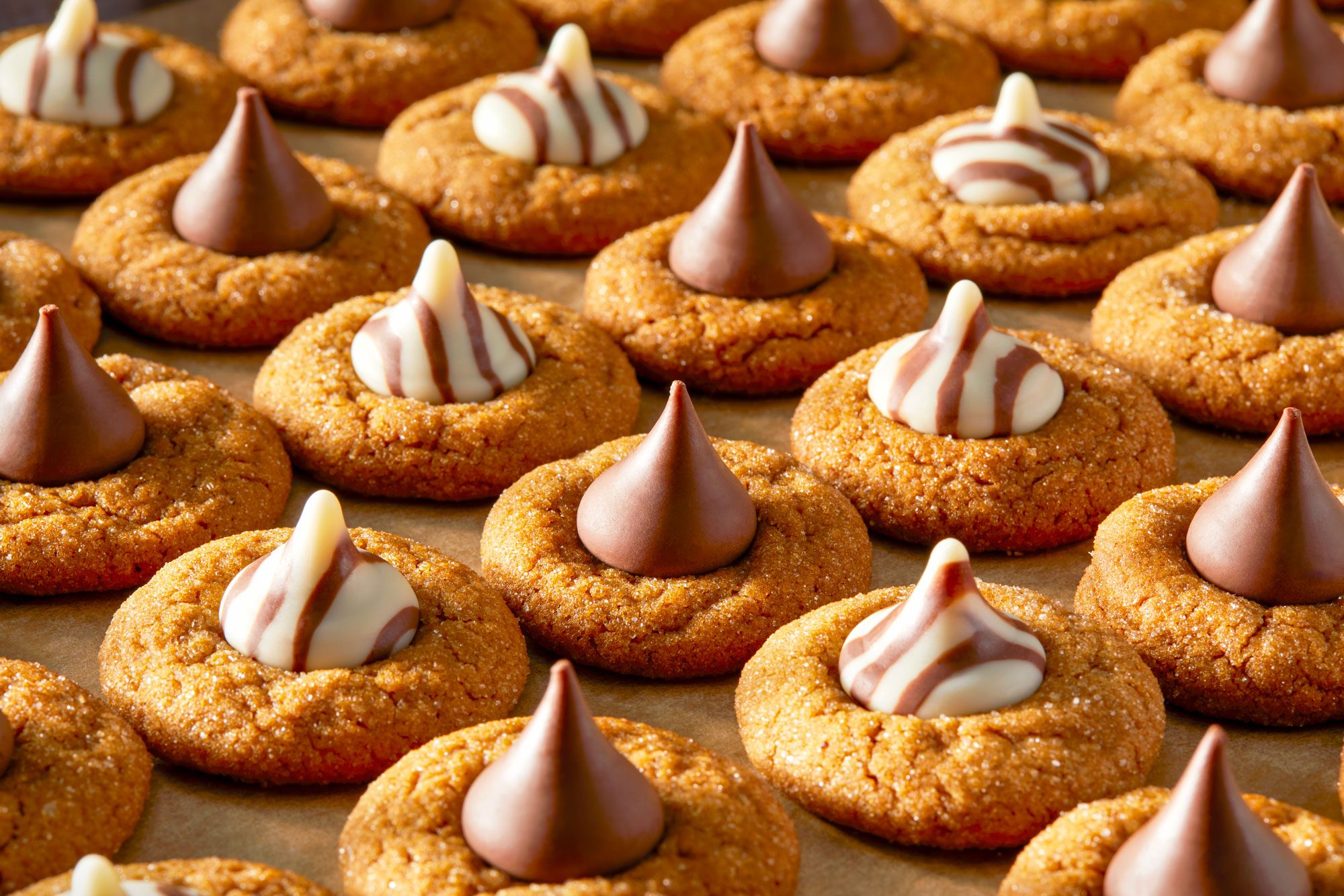 3/4th View Shot of Gingerbread Blossoms