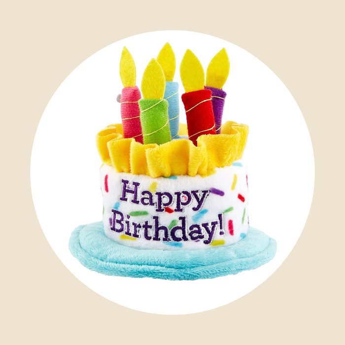 Birthday Cake Dog Hat Ecomm Via Chewy.com