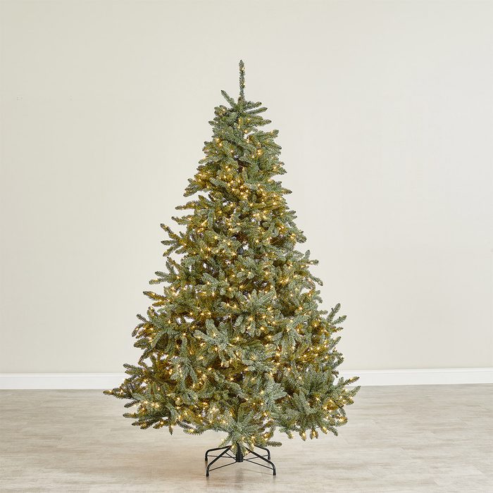 Balsam Hill Classic Blue Spruce Tree