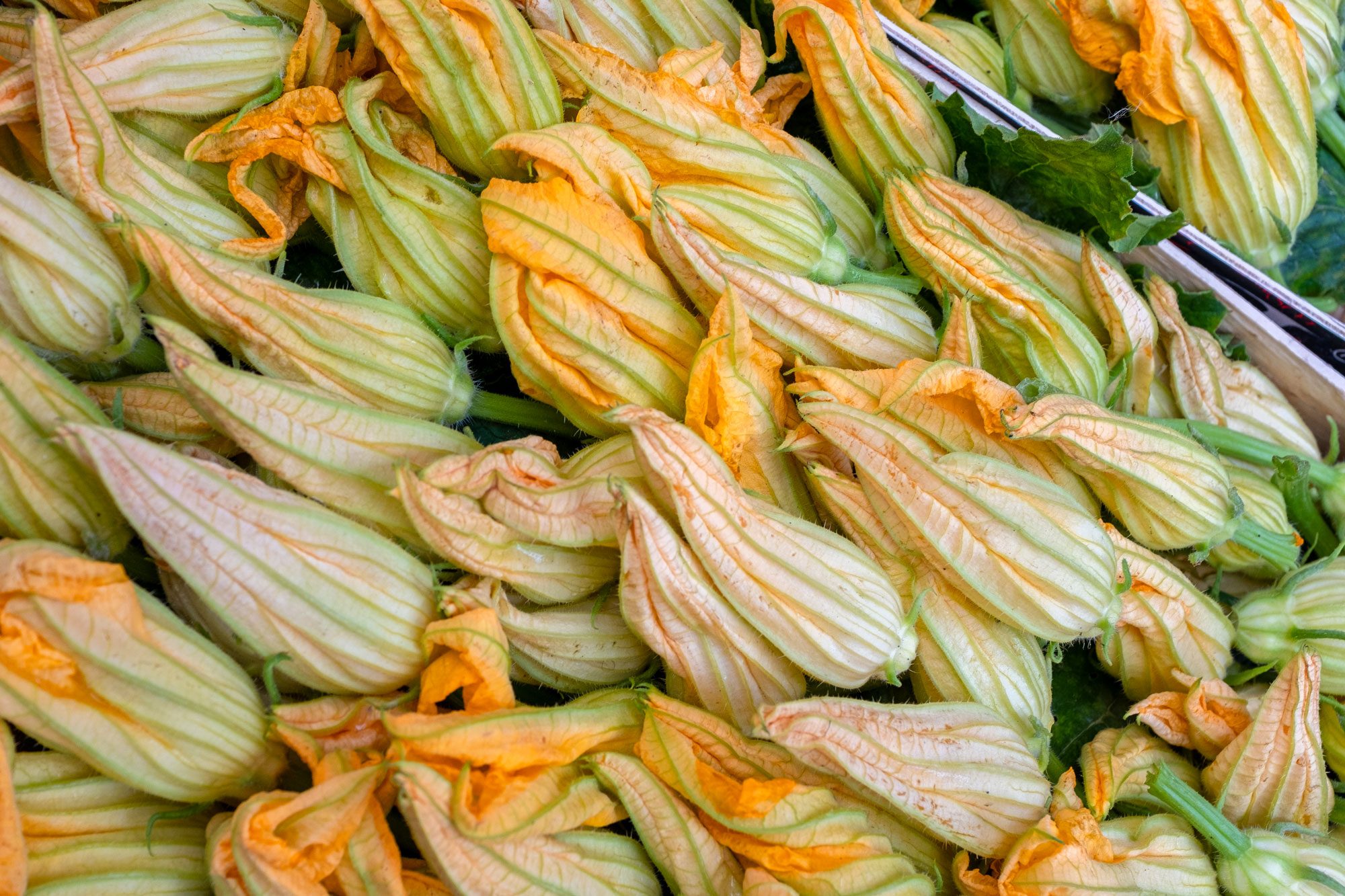 Squash Flowers In Italian Market