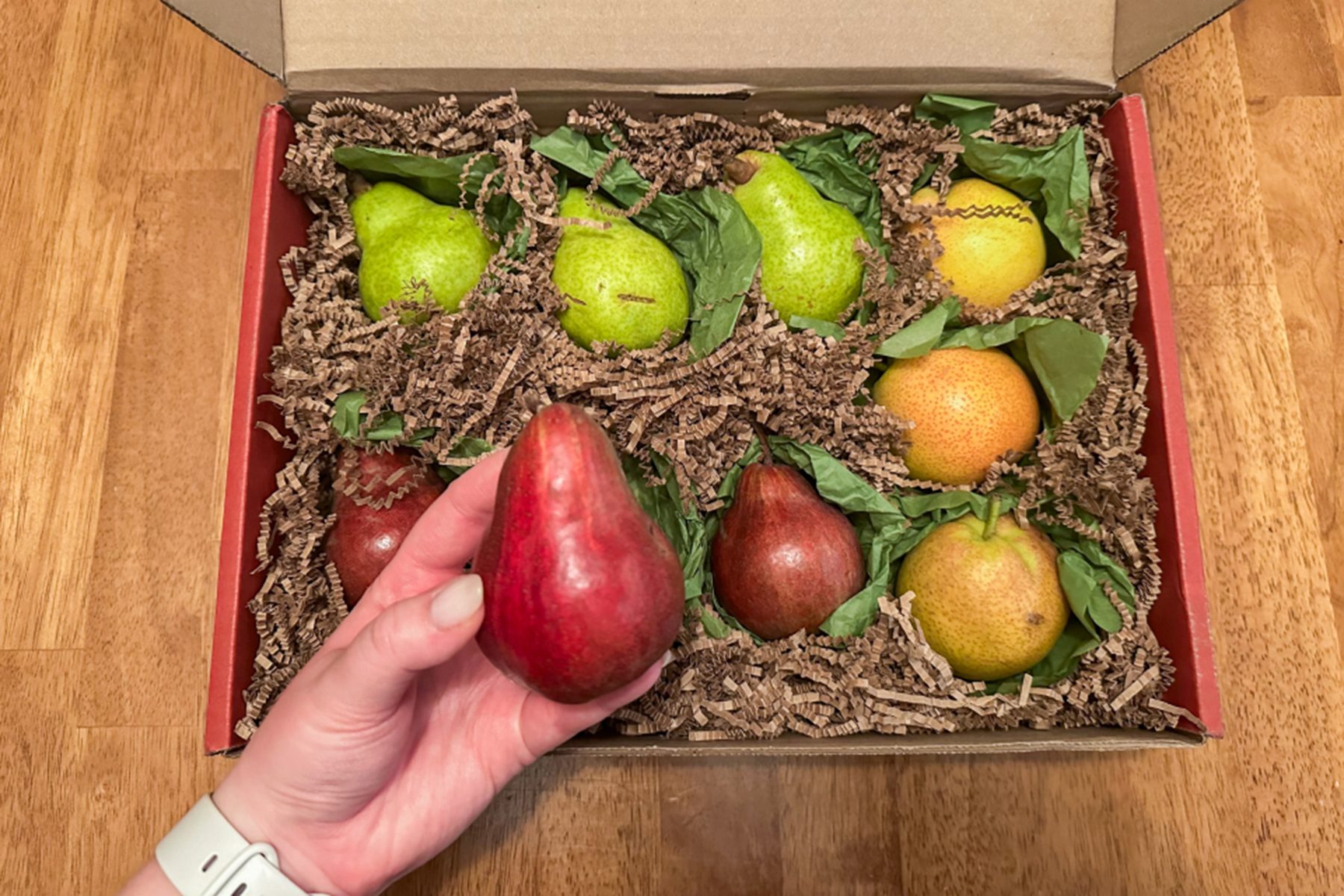 Toha24 Great Clubs Of Fruits Caitlyn Fitzpatrick 04 Yvedit