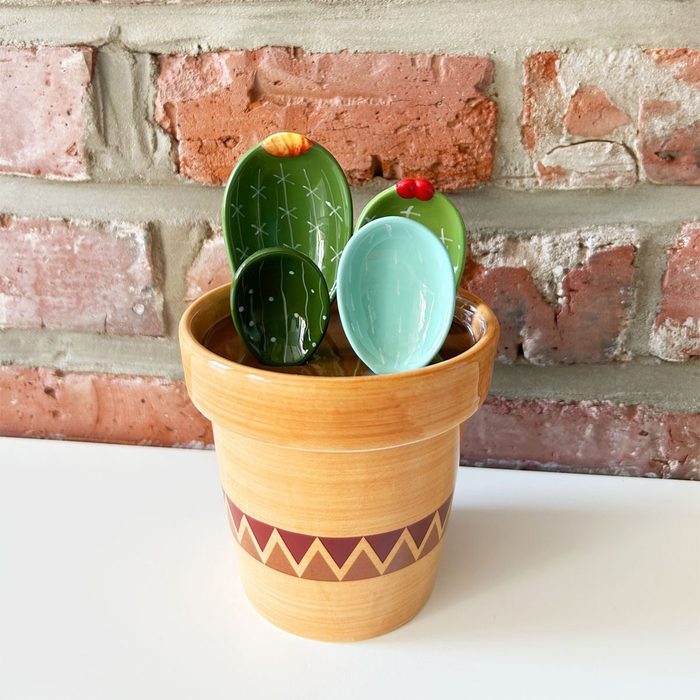 Cactus Measuring Spoons