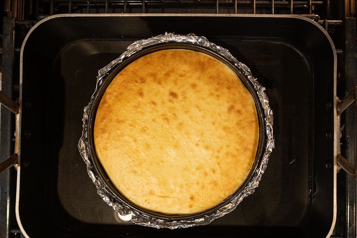 Baked carrot cake cheesecake on the oven rack, cooling.