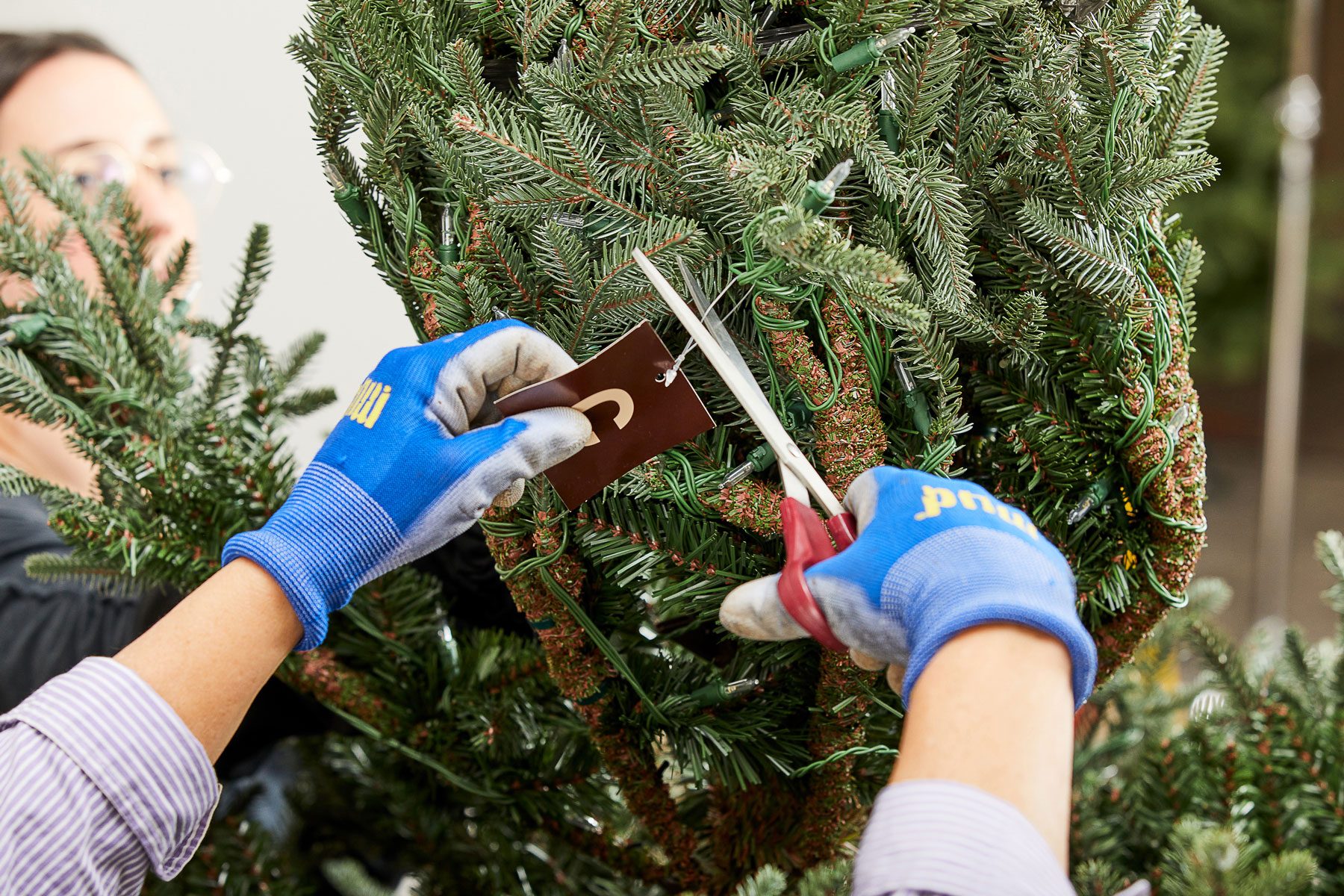 Hands can be seen cutting the tag from Frontgate Christmas Tree