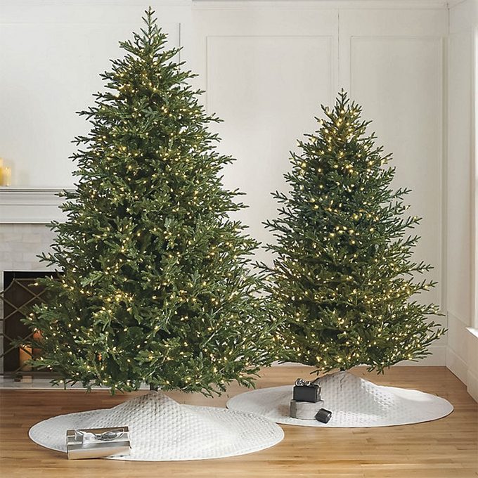 Frontgate Classic Fraser Fir Christmas Tree