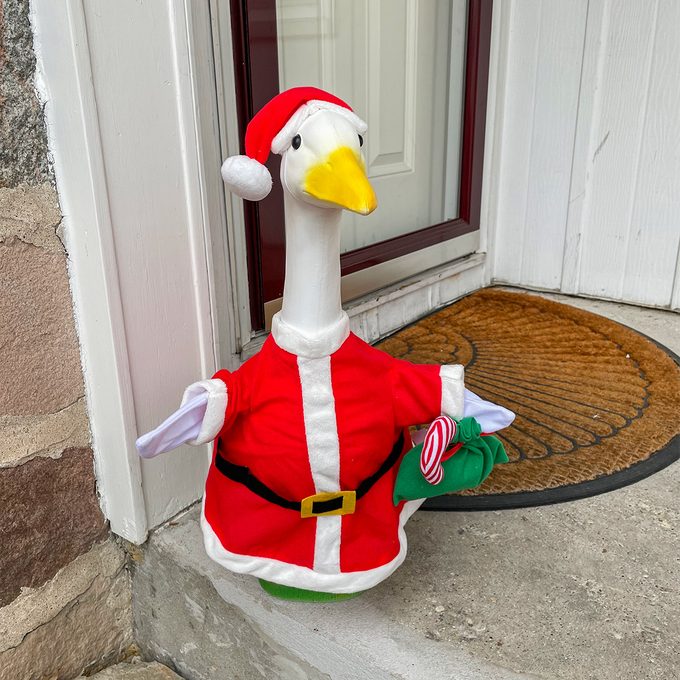 Santa Goose