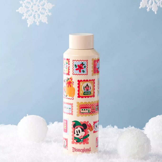 Mickey Mouse And Friends Holiday Stainless Steel Starbucks® Water Bottle – Disneyland
