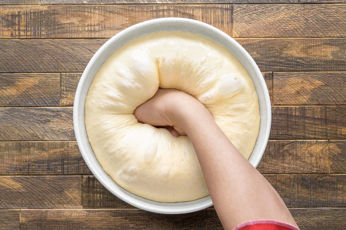 kneaded dough placed in a greased bowl