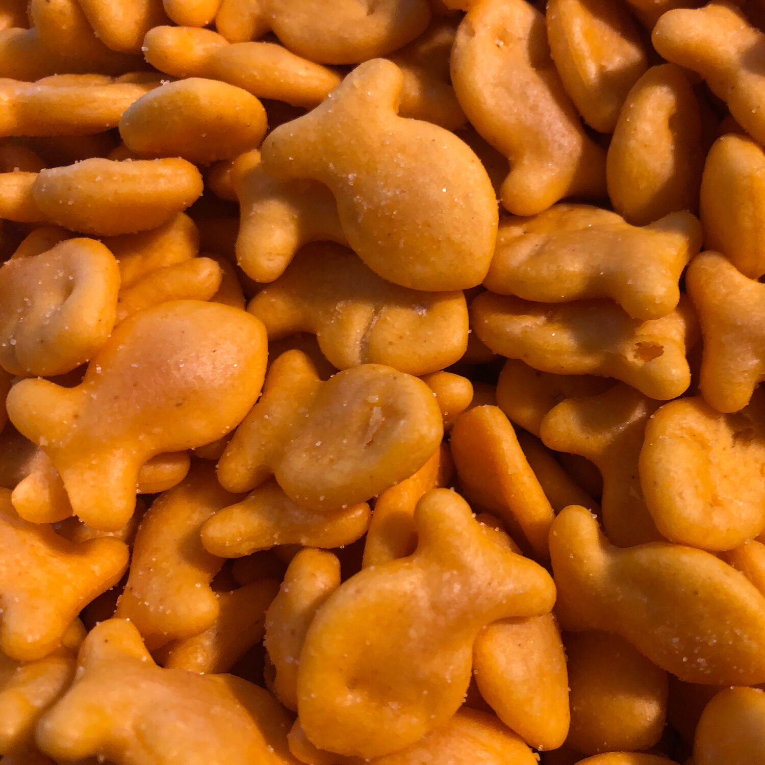 Why Goldfish Crackers Are Shaped Like Fish (and Other Fun Facts)