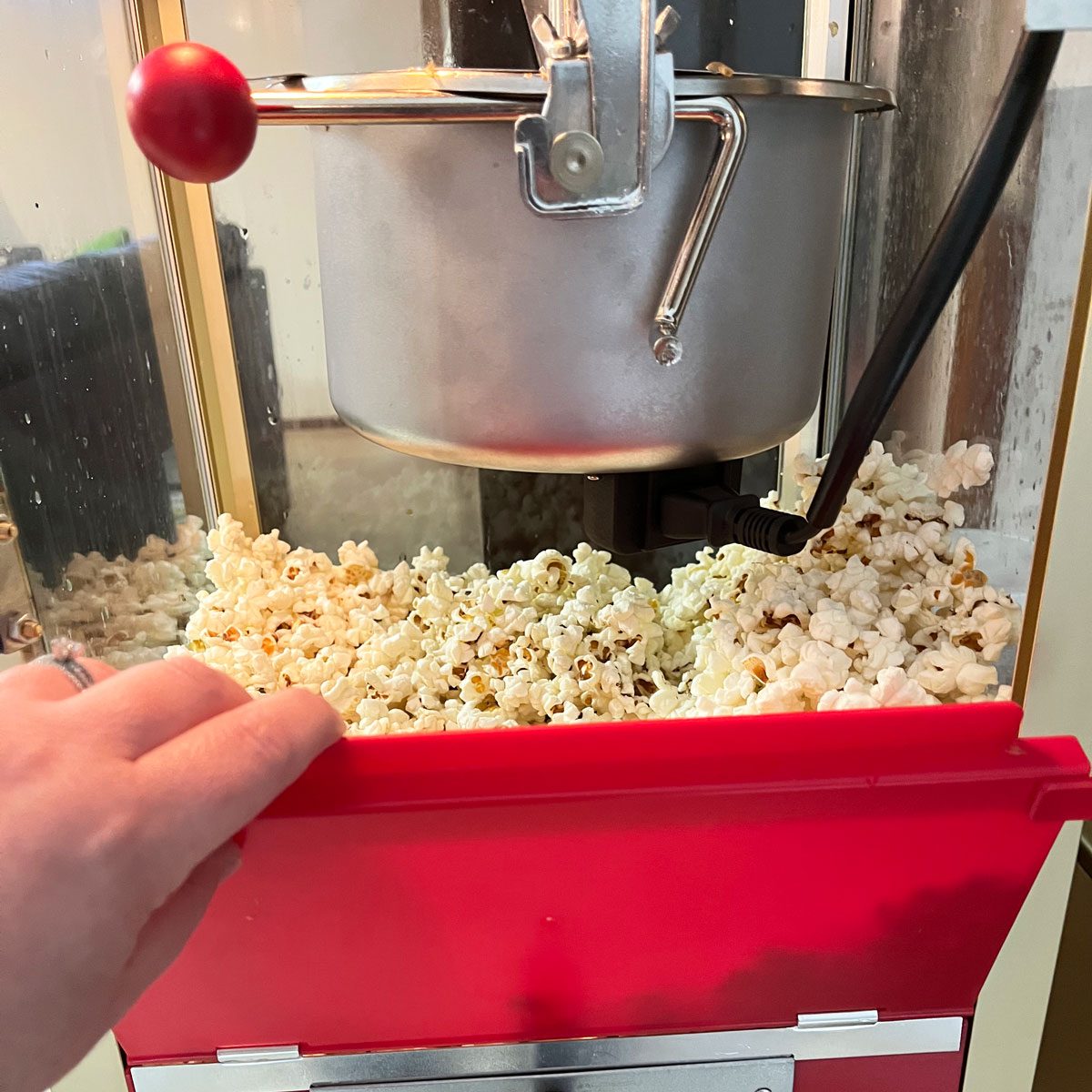 Popcorn Machine Knob Emily Parulski