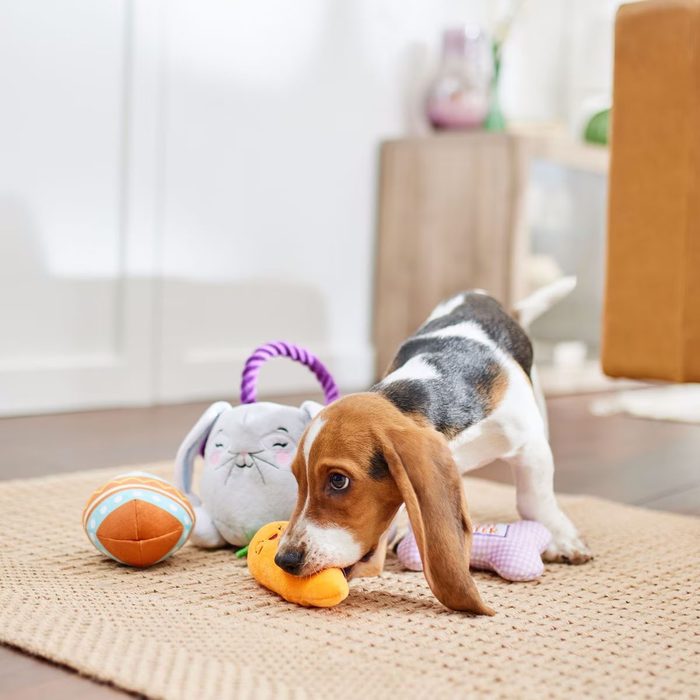 Dog Easter Basket Toy