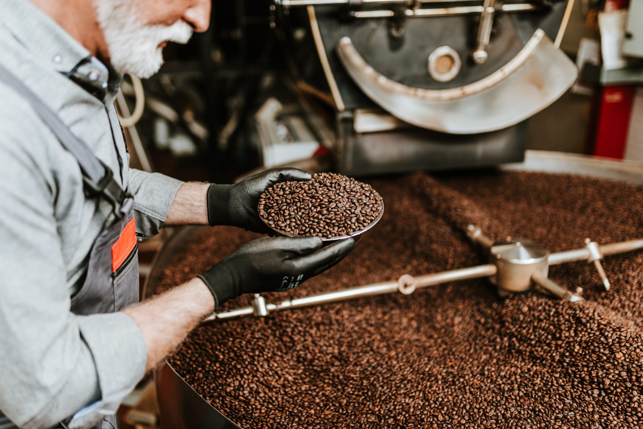 Man taking a scoop of coffee beans from a large roaster