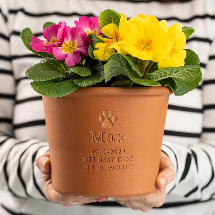 Pet Memorial Plant Kit