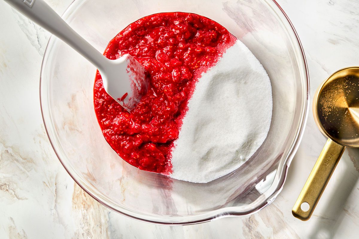 Raspberry Ice Cream Tohcom25 8883 Md P2 02 11 2b