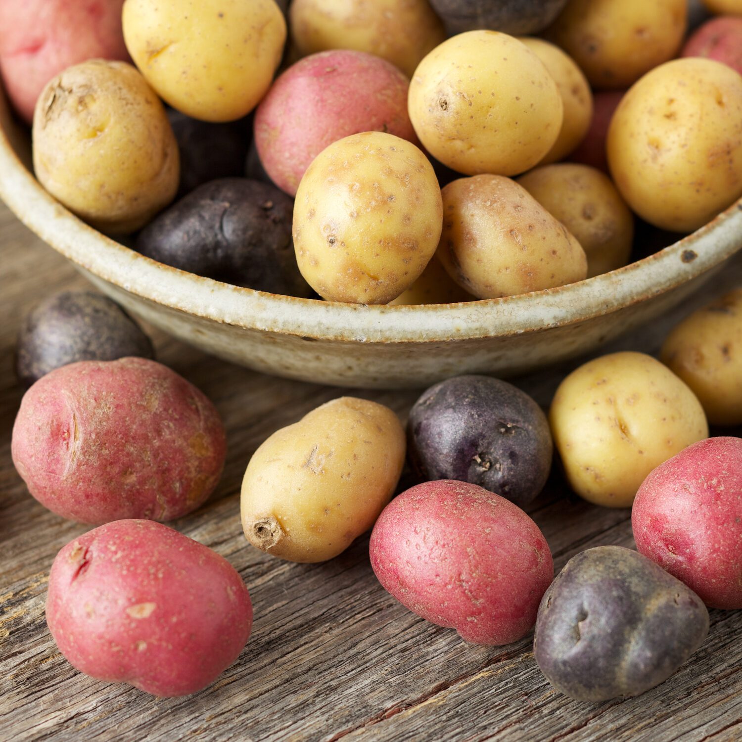 Raw multi-colored small potatoes in ceramic bowl on wood
