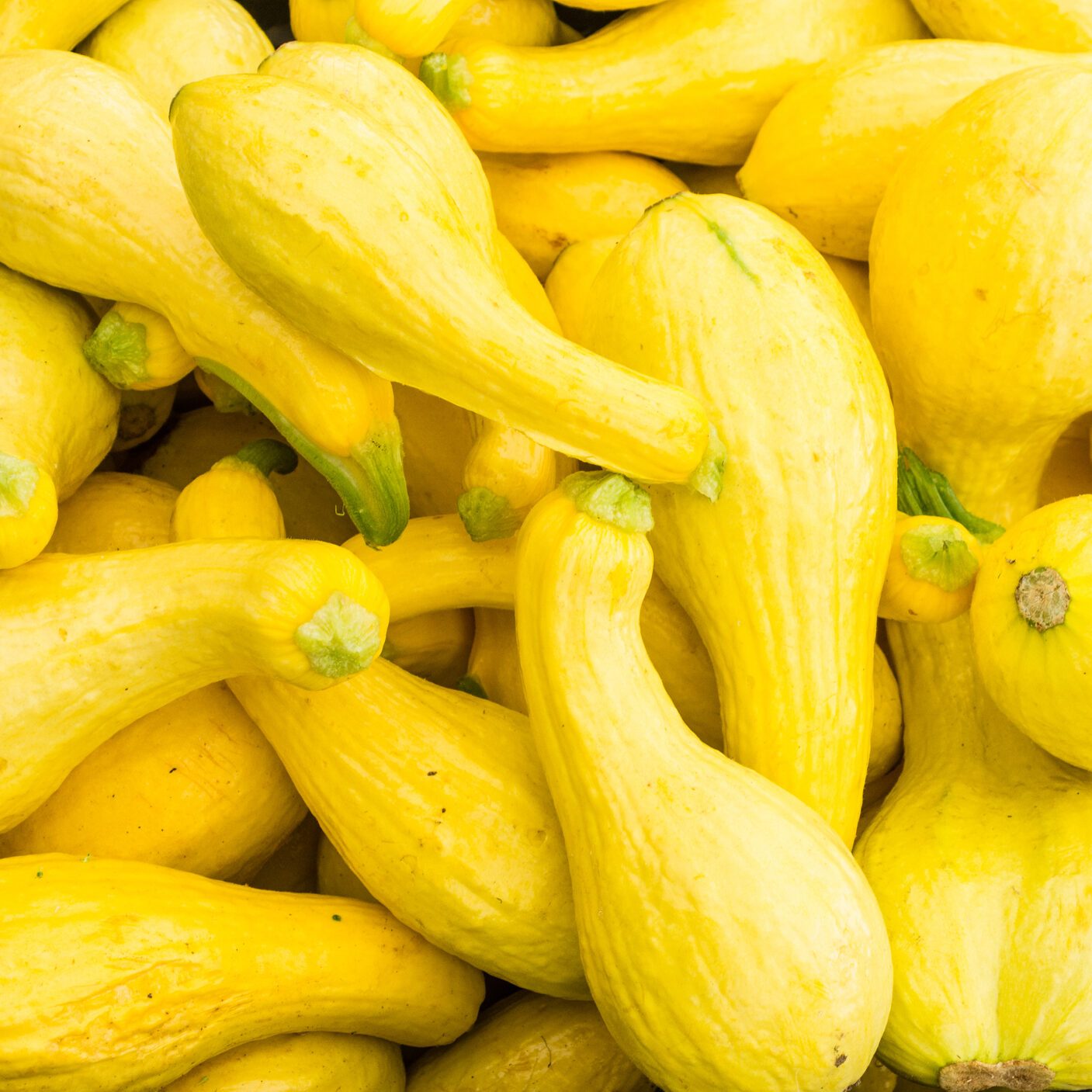 Display of yellow squash at the market