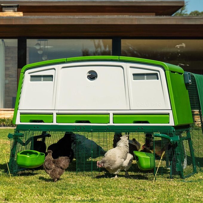 Smart Omlet Coop Via Omlet.us 16 M2