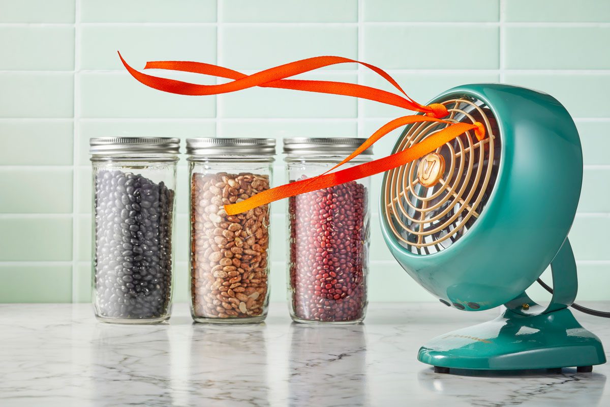 Degassing Beans: Here’s How to Silence the “Musical Fruit”