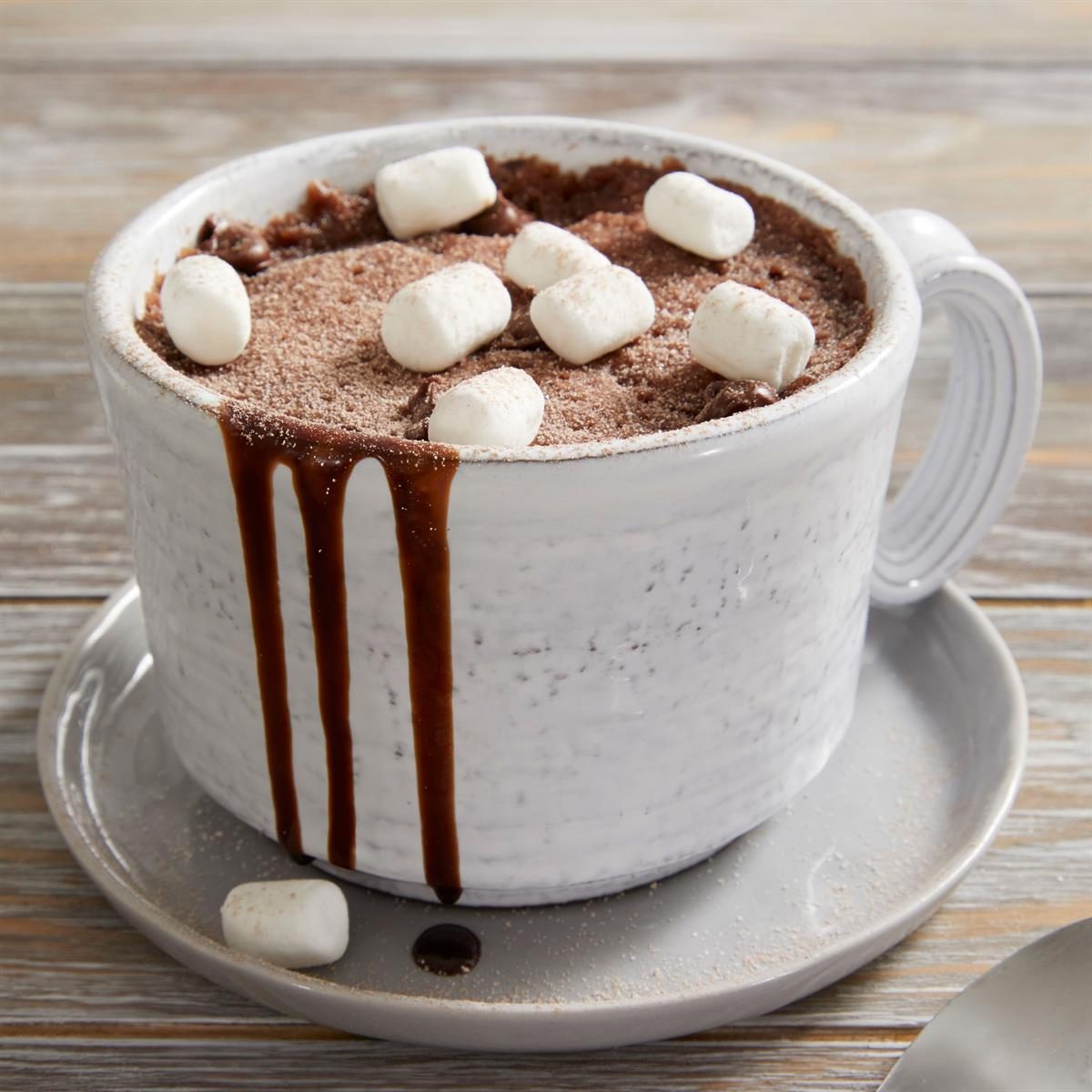 Hot Chocolate Mug Cake