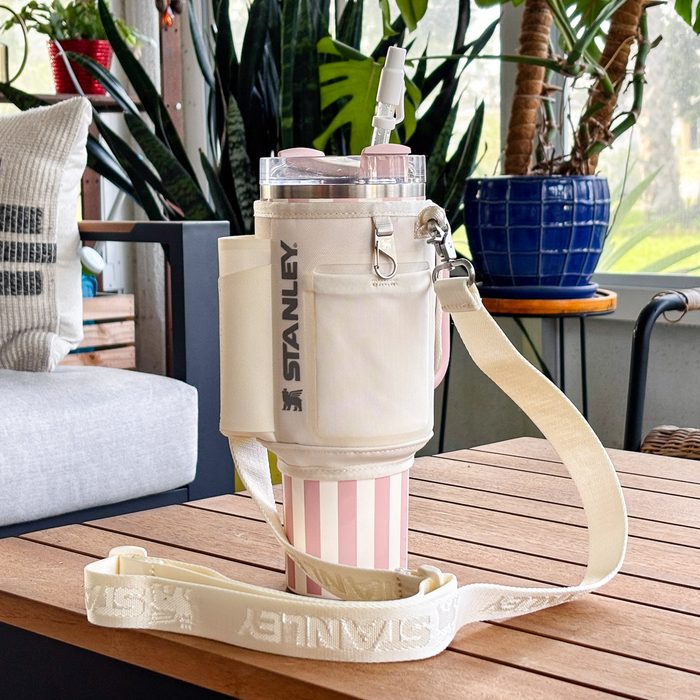 Stanley Tumbler Quencher Carry All