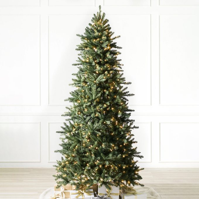 Berkshire Mountain Fir