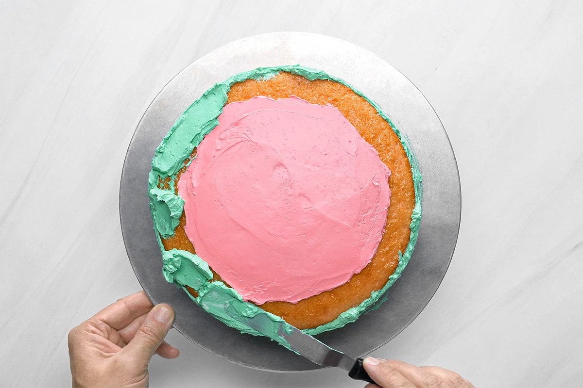 Watermelon Cake Tohvs23 15328 Bl 04 17 6