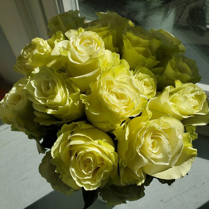 Glow In The Dark Roses Are Scary Cool